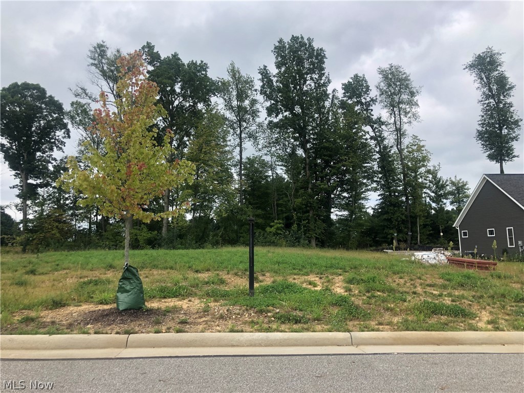 Kings Ridge Ph Eight - Land