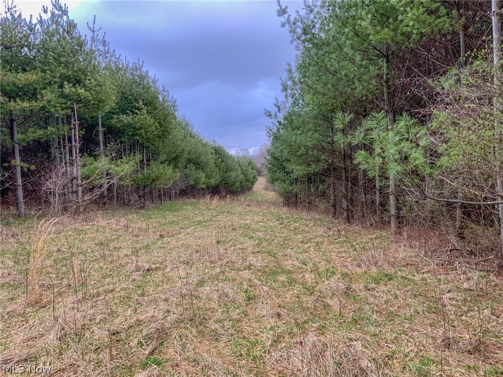 15+/- acres for sale in Noble County, Ohio. Property is about 1/2 pines and half hardwoods. Would make a great place to build a cabin or new home. Electric Nearby. Excellent hunting in the area. Topography is rolling to steeper hillside in the back. Mineral rights previously reserved.
Additional acreage may be available. Call today!