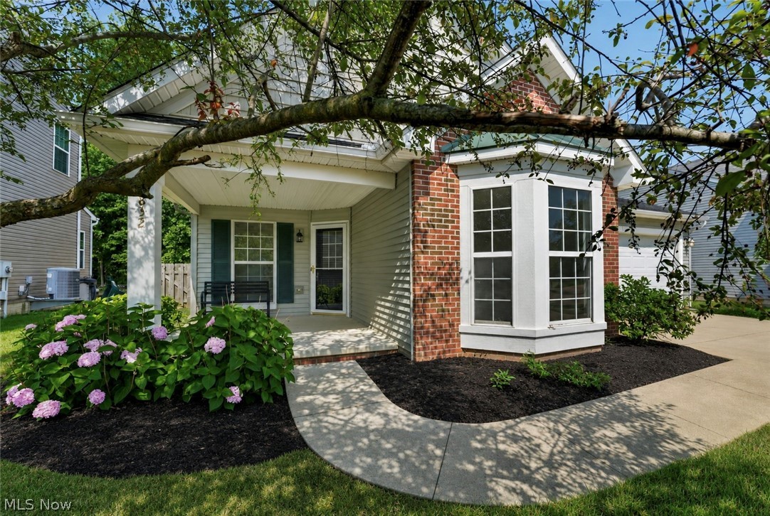 Wheaton Place/Waterbury - Residential
