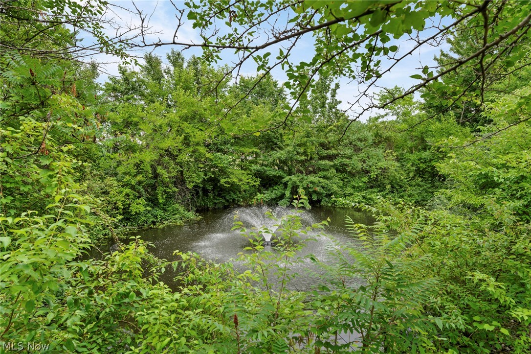 Village/Westlake Condo - Residential