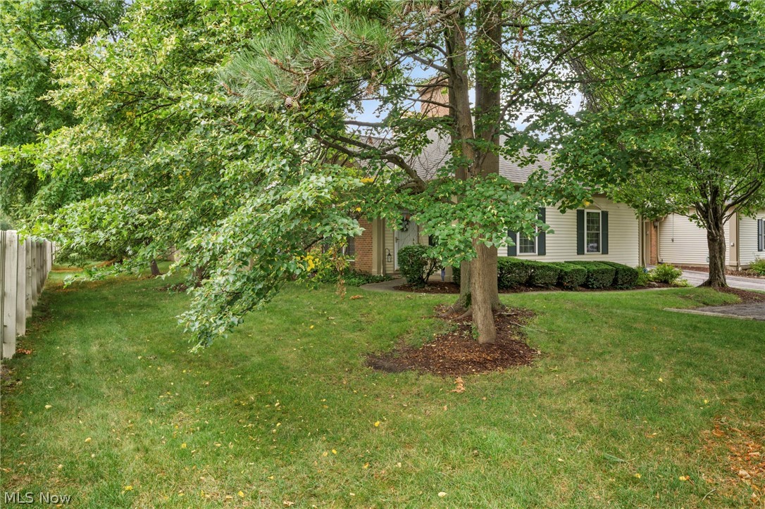 Village/Westlake Condo - Residential