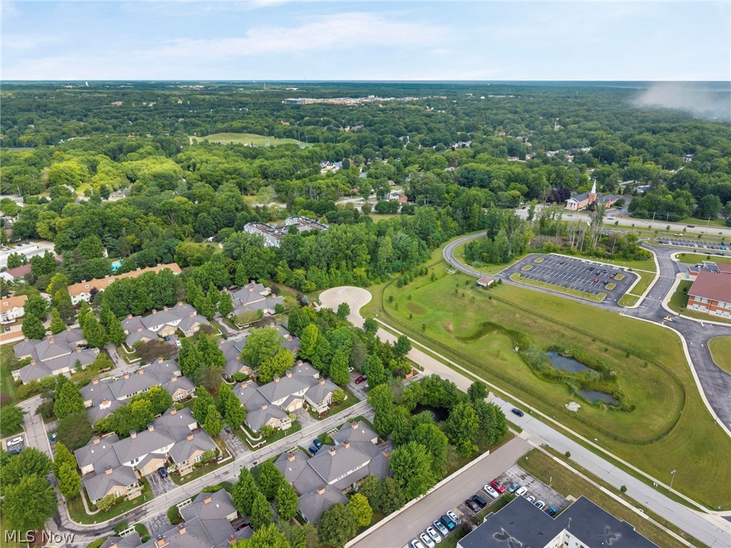 Village/Westlake Condo - Residential