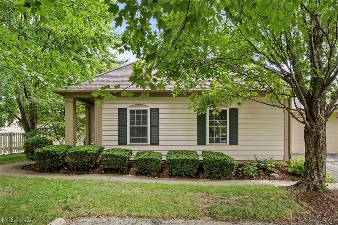 Village/Westlake Condo - Residential