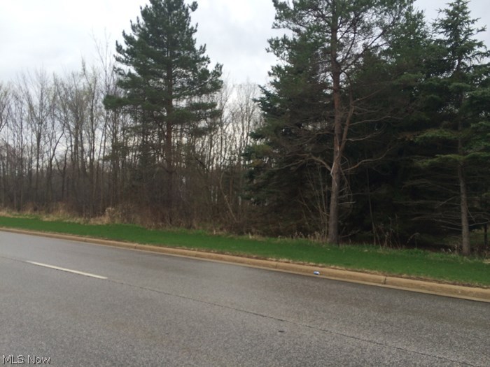 Absolute auction, all sells to the highest bidder on location:   MONDAY – JUNE 1, 2015 – 6:00 PM  2+ Acre Lot – All Wooded – Aurora City and Schools
Zoned R-3 – Convenient Location
 TERMS ON REAL ESTATE: 15% down auction day, balance due at closing. Buyer's premium of 10% to be added to the final bid to establish the purchase price. Any desired inspections must be made prior to bidding. All information contained herein was derived from sources believed to be correct. Information is believed to be accurate but not guaranteed.