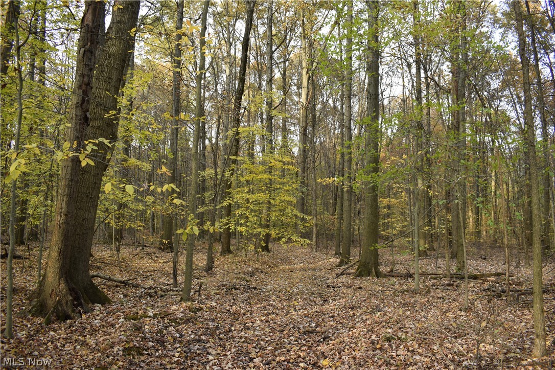 Brookfield Township Original S - Residential