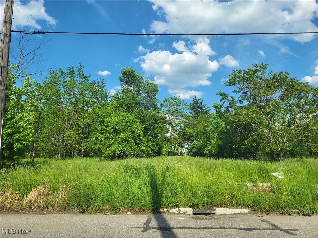 City lot for immediate sale! Utilities in the area. All reasonable offers considered. Contact the city of cleveland for building requirements.