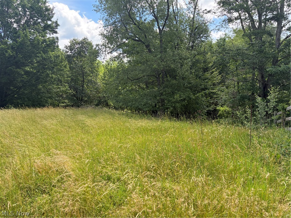 Beautiful property in a peaceful country setting that offers over 48 acres of natural beauty.  A perfect combination of open fields, rolling hills and wooded acreage.  Whether you are looking for a private hunting/recreation retreat or a spot to build your forever home; this property is for you!