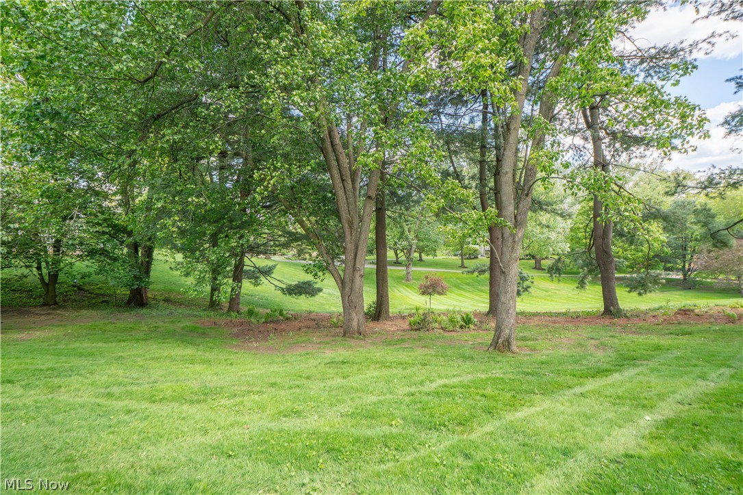 Hills & Dales Allotment - Residential