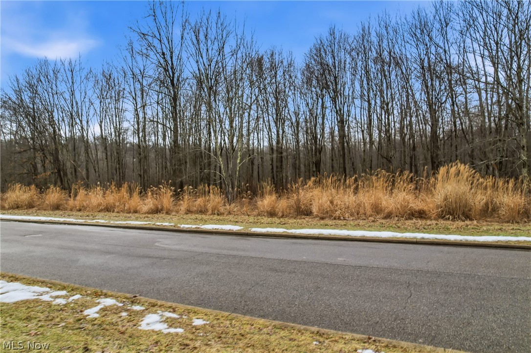 Old Warner Trail - Land