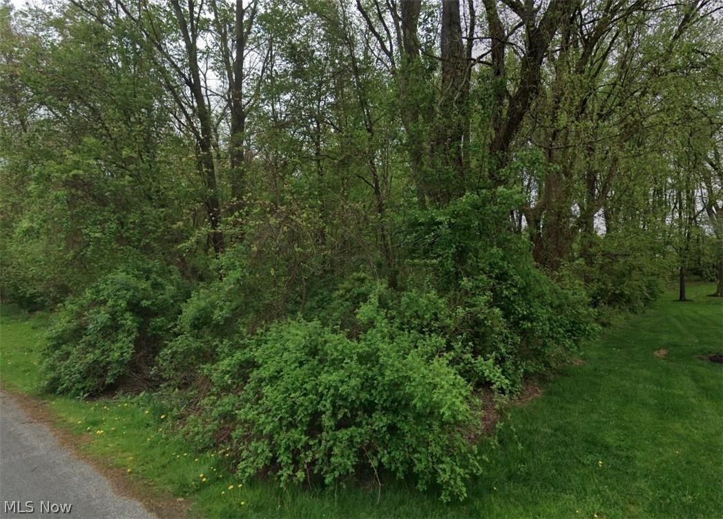 Springfield Heights Condo - Land