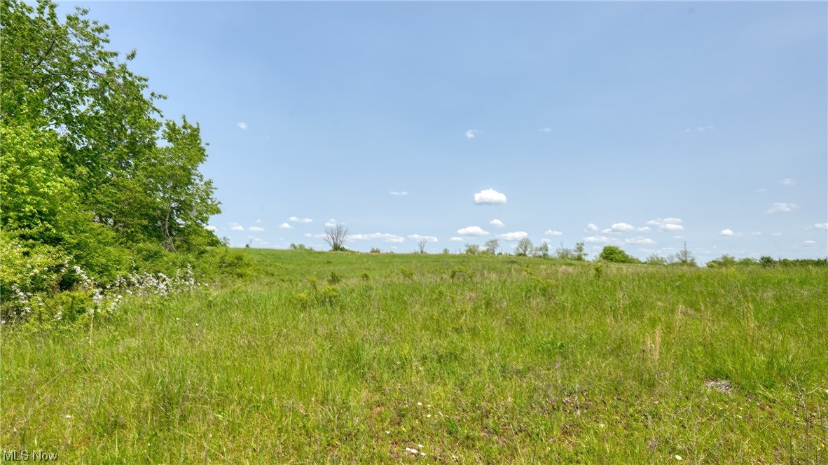 Washington Estates - Land