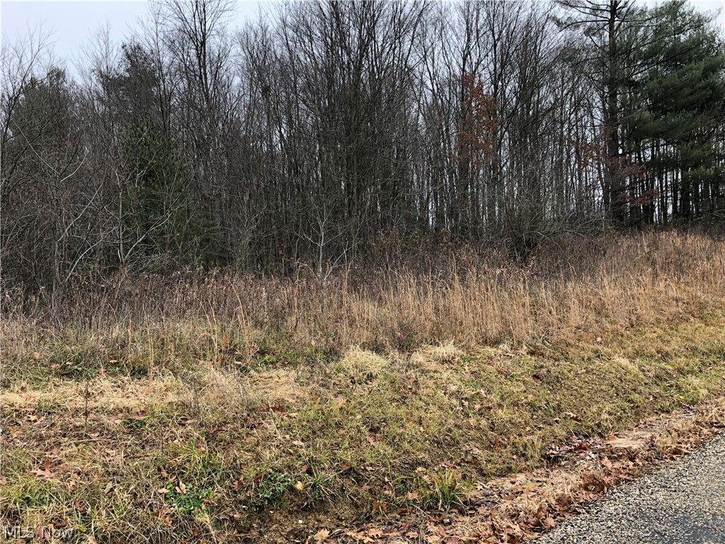 Build your dream home!  Offering a  3.26 acre lot on the corner of Toll Gate Road and Township Road 418.  Public utilities available from the road.