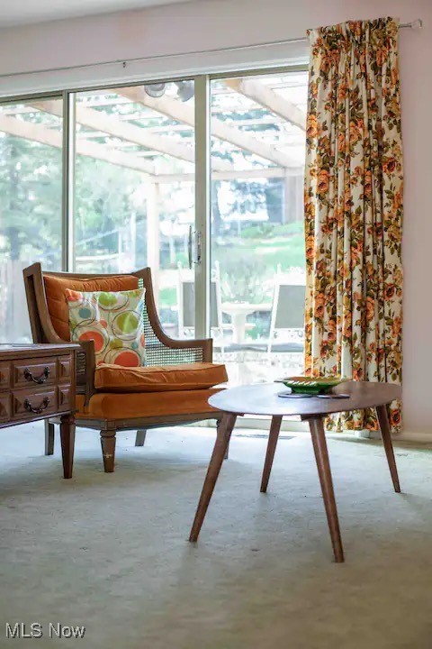 Woodbury Hills Sub - Residential