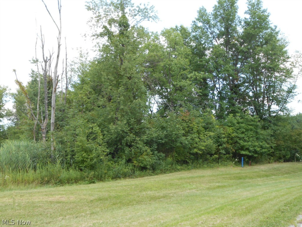 Crown Pointe Estates - Land