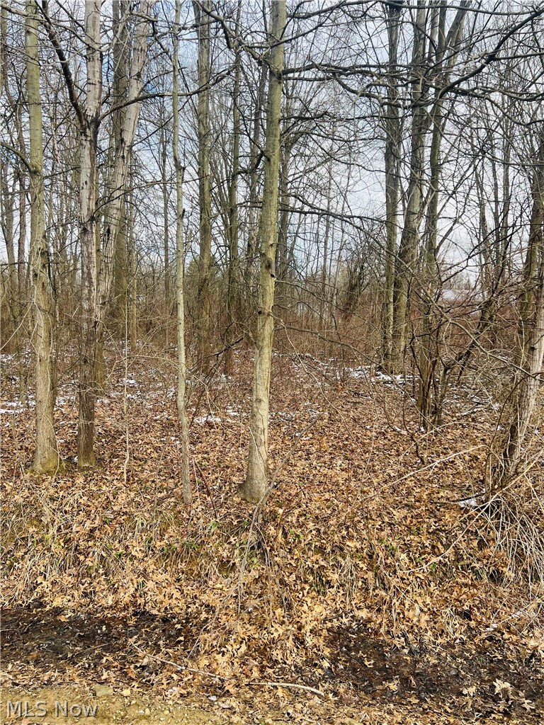 Sunrise Acres - Land