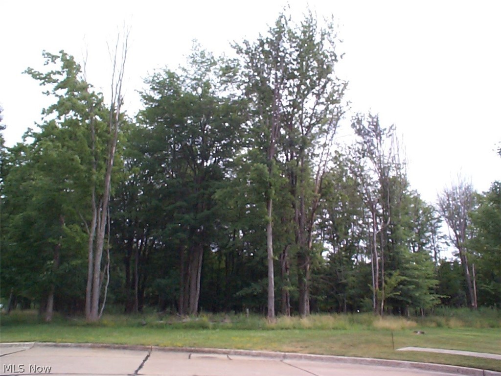 MAYPINE FARM ESTATES--- THE Most exquisite neighborhood in Highland Heights, Ohio...Build your minimum 2800 sq ft Dream Home on this pie shaped property on PRIVATE cul-de-sac 65' front which fans out to the rear 339' (Side line 302'and 214') In award winning Mayfield Schools! All utilities are in/on including sewers.