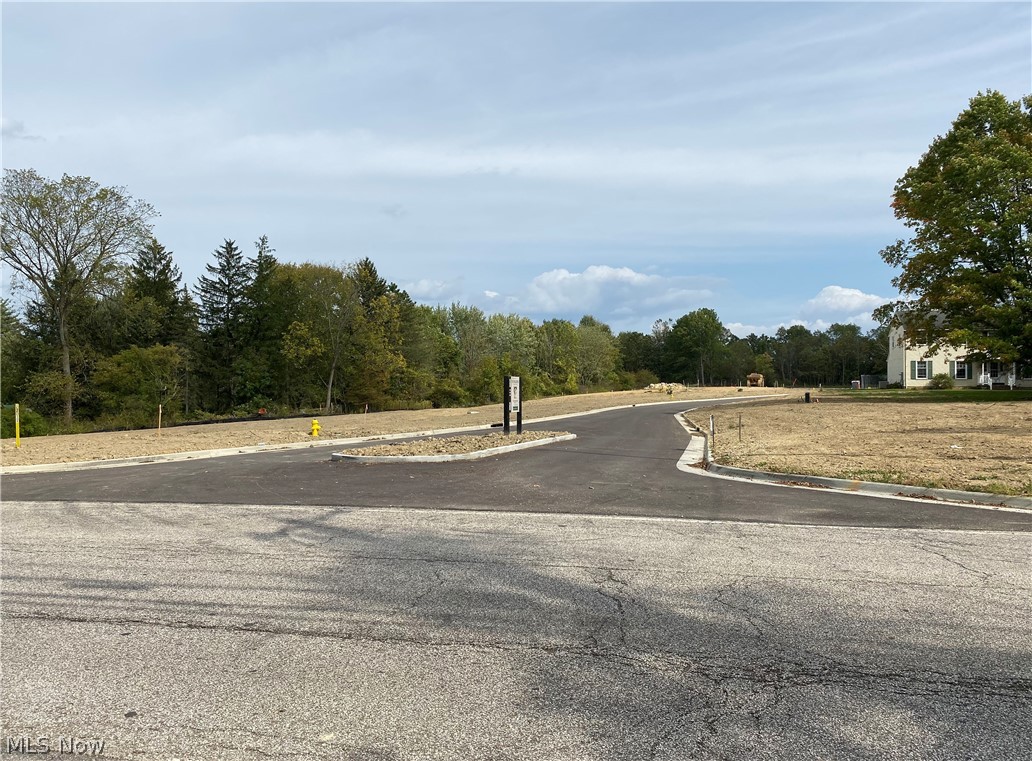 The Reserve at North Revere - Land