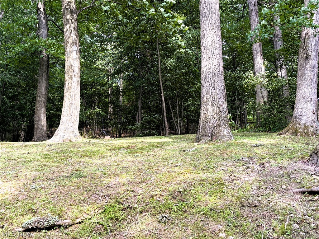 Mcdaniel Allotment - Residential