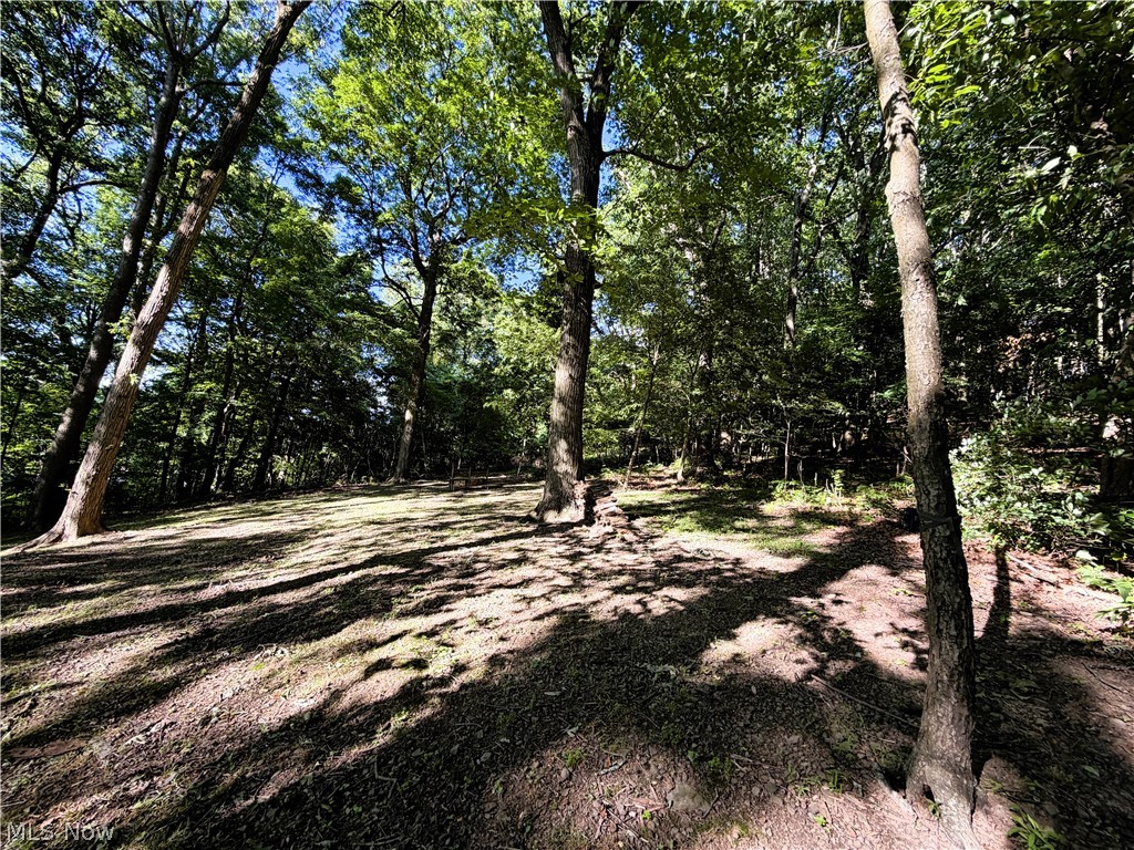 Mcdaniel Allotment - Residential