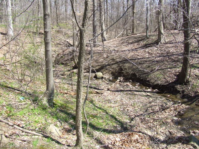 Fairlawn Heights Sect F, lot 217 - Land