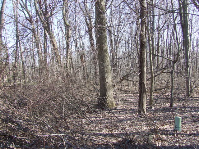 Rare 1/2 acre vacant lot in West Akron, surrounded by beautiful homes.  Level, wooded, utilities available.  Close to shopping and expressway, yet away from the hustle and bustle.  Waiting for you and your builder!