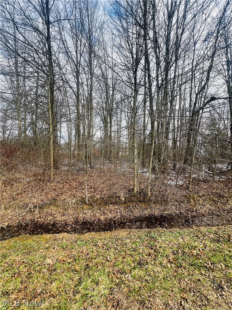 Sunrise Acres - Land