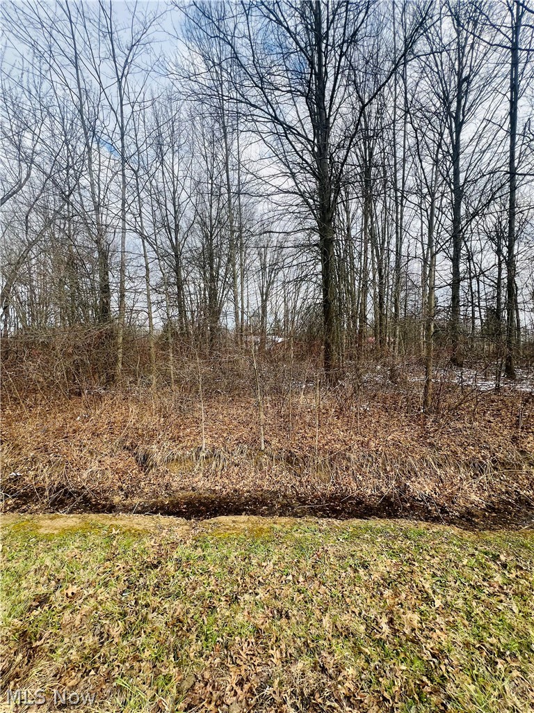 Sunrise Acres - Land