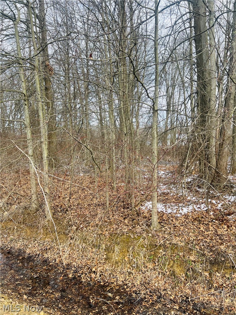 Build your dream home on this spacious 0.46-acre buildable lot in the heart of Orwell! Located in a quiet, established area, this property offers a great balance of privacy and convenience. With ample space for a custom home, garage, and outdoor living, the possibilities are endless. Enjoy small-town charm while being just minutes from local shops, schools, and everyday amenities. Don’t miss this opportunity to create your ideal home in a peaceful setting!