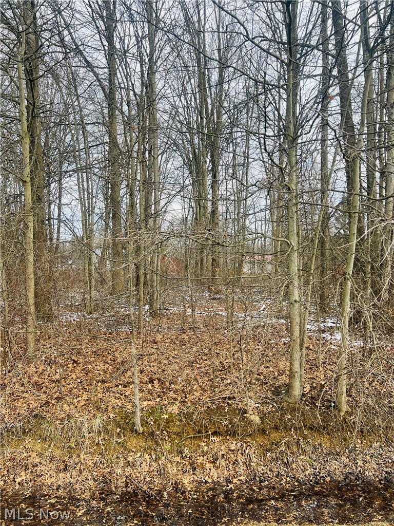 Sunrise Acres - Land