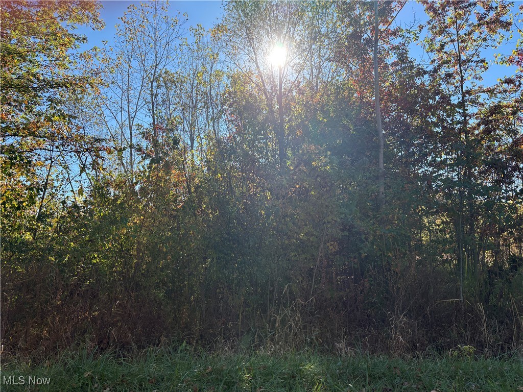 Property of .70 acre consists of 5 lots (4 facing Pearl Avenue; 1 facing Maple Road but all are connected). In a Light Industrial Zone 1 area.  Utilities and Public Water/Sewer at the street.  Call Lorain City Zoning Department to find out what kind of business is allowable on this land.