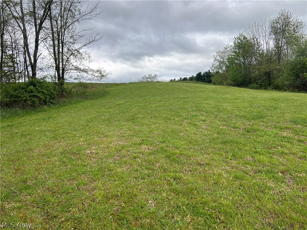 Discover the perfect blend of privacy, productivity, and potential with this 9.93-acre vacant land opportunity. Tucked away in a secluded setting, this property offers a peaceful retreat while still providing practical uses for farming or recreation. A portion of the land is tillable, making it ideal for crops or income-producing use, while the wooded areas create excellent habitat for wildlife and prime hunting conditions.

A private access drive right-of-way leads you into the property, enhancing the sense of seclusion and exclusivity. The rolling terrain offers a prime building site atop the hill, where you can take full advantage of the breathtaking views and create the home you’ve always envisioned. Whether you’re looking to build, hunt, farm, or simply invest in land, this property offers versatility and natural beauty that’s hard to find.