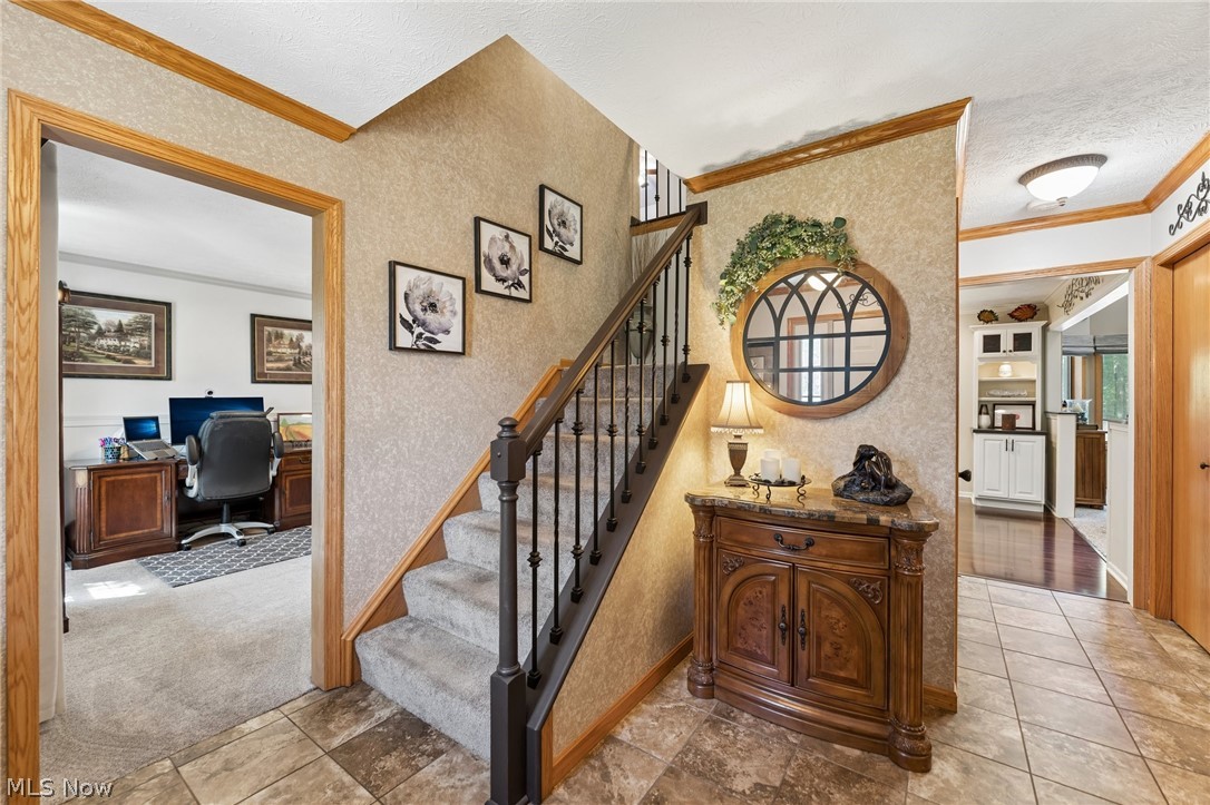 Paddington Woods - Residential