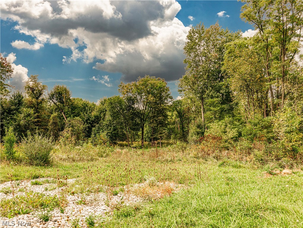 Wyoga Lake Park - Land