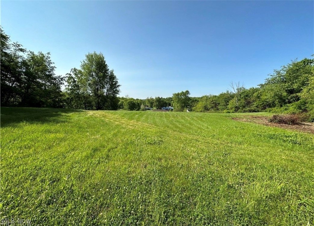 St Clair Gardens - Land