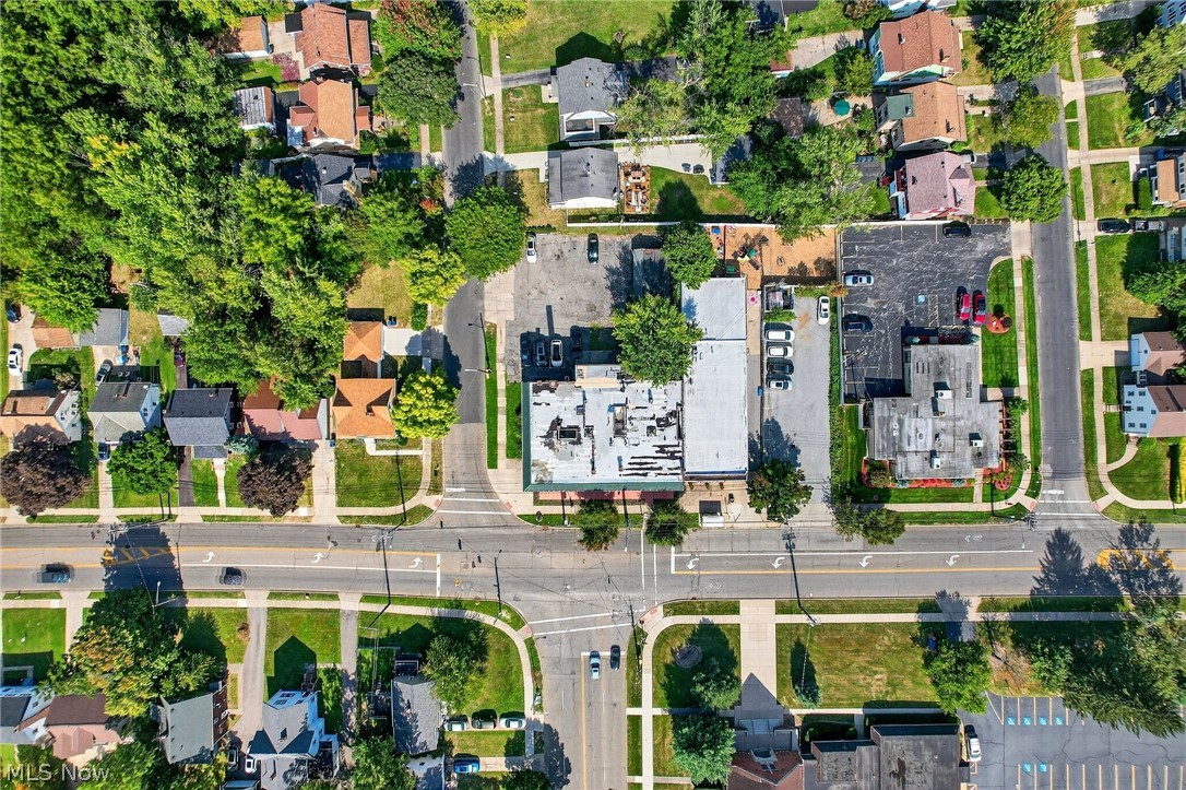 Taylor Park Land Companys Forest - Commercial Sale