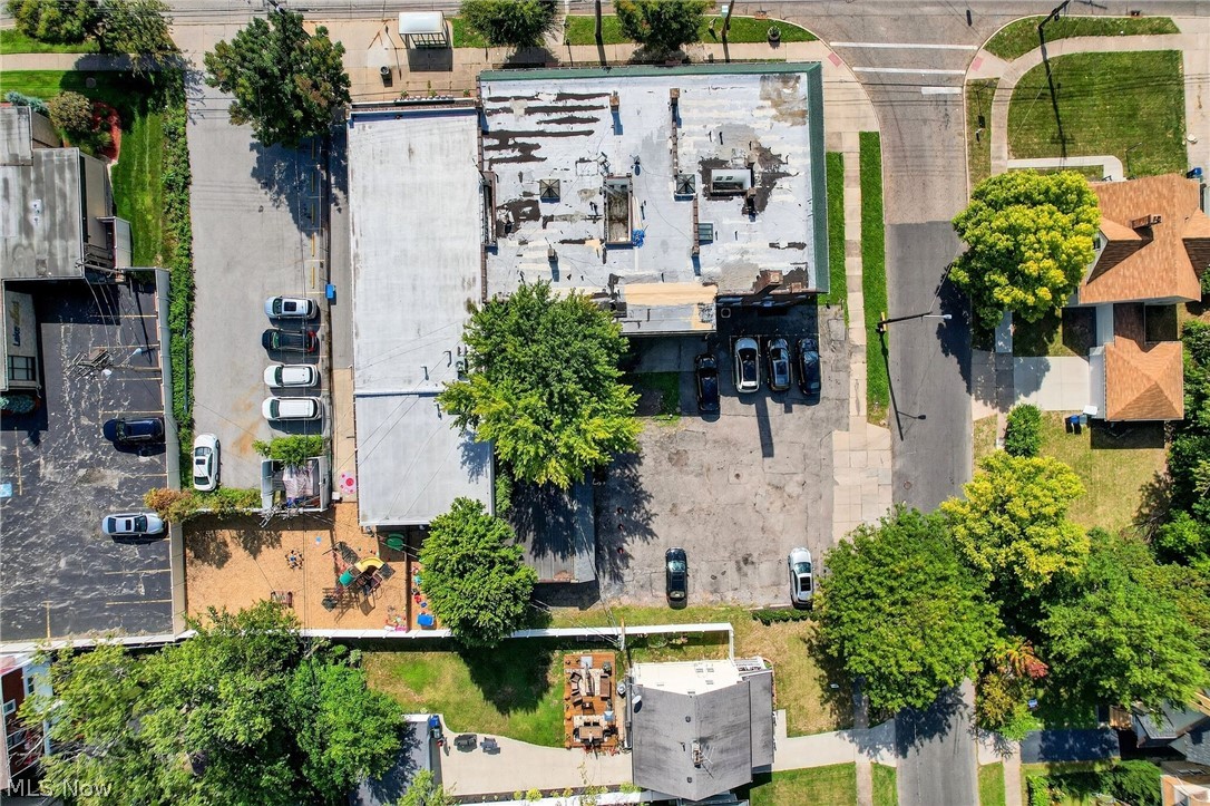 Taylor Park Land Companys Forest - Commercial Sale