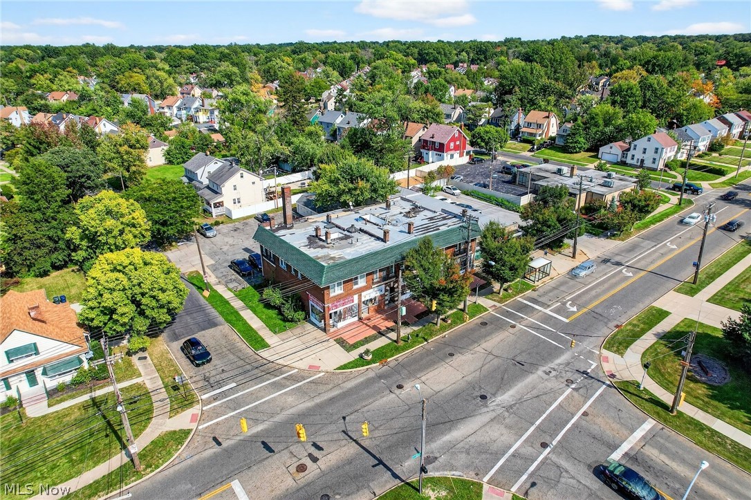 Taylor Park Land Companys Forest - Commercial Sale