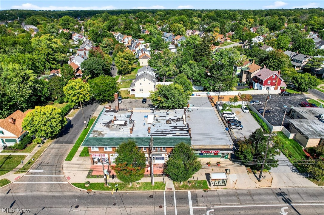 Taylor Park Land Companys Forest - Commercial Sale