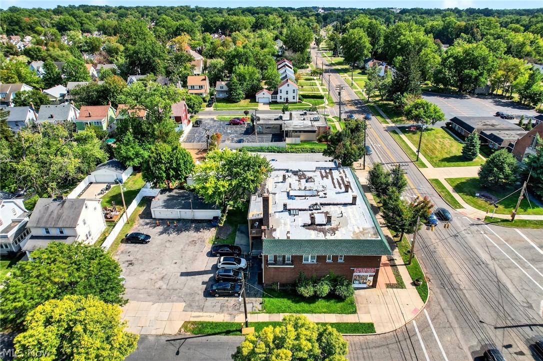 Taylor Park Land Companys Forest - Commercial Sale