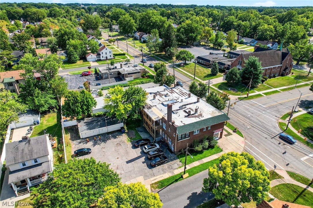 Taylor Park Land Companys Forest - Commercial Sale