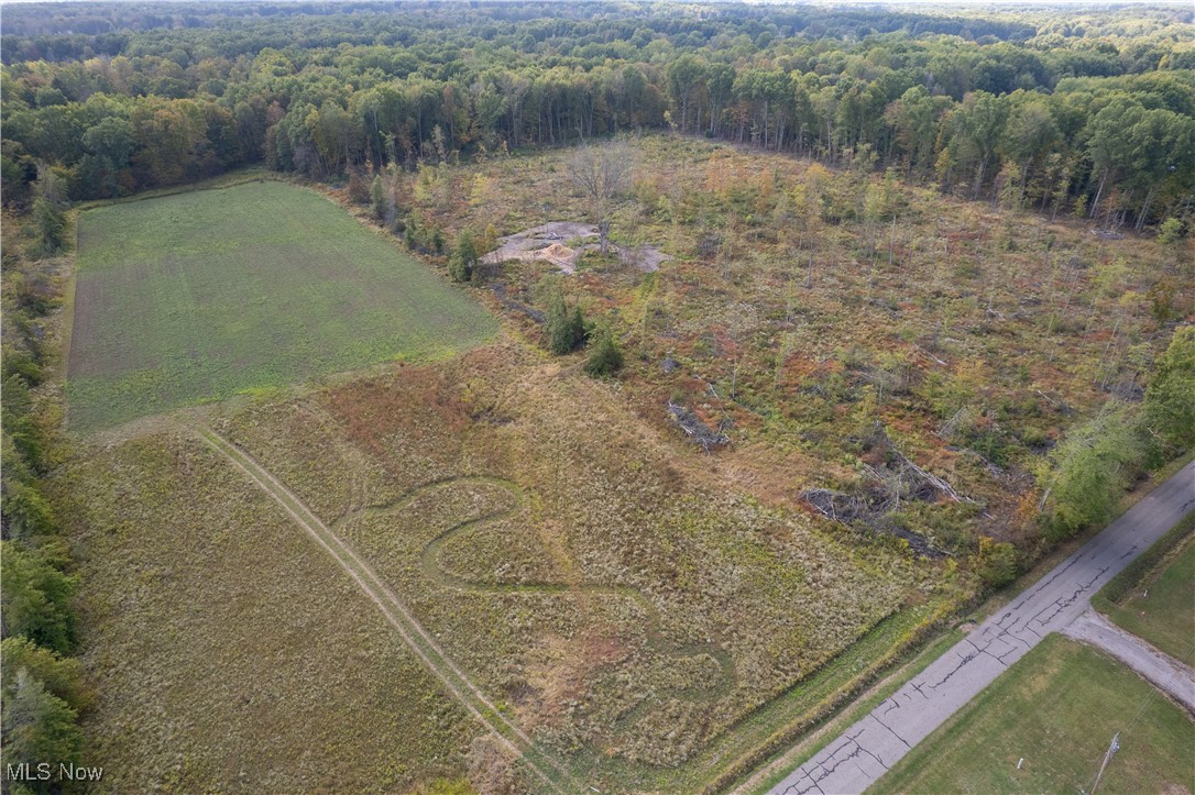 Country Lot with 10.76 acres on quiet country road.  Build your dream home and have plenty of space for extra buildings or barns and animals.  Eagle runs along the back of the property so wildlife is abundant if you are a hunter.  Buyer is responsible to do their own due diligence and soil analysis for well and septic requirements.  Additional 20 acres also available next to this property