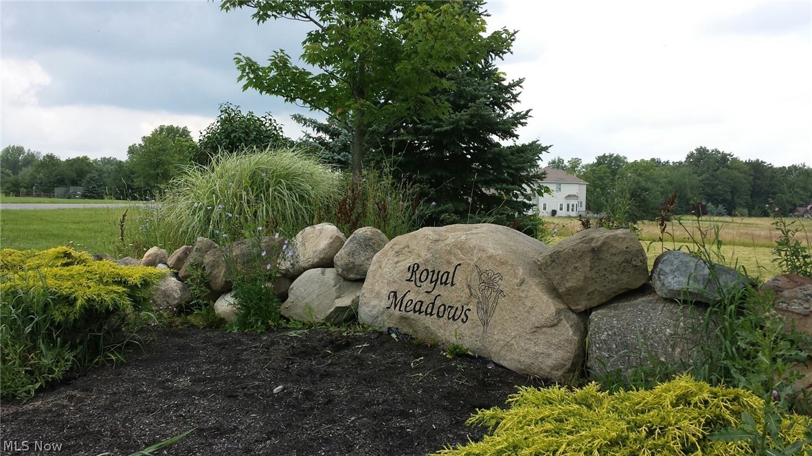Royal Meadows Sub - Land