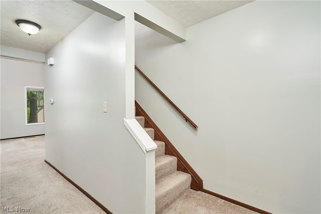 Trail View Terrace Condo - Residential