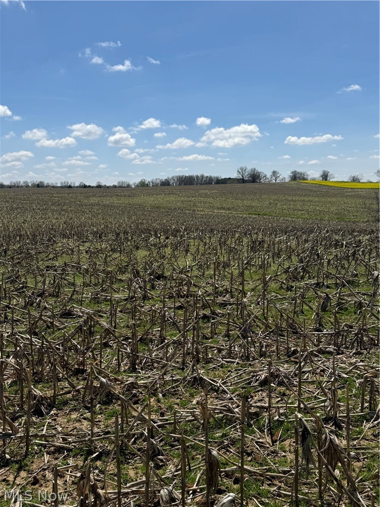 Build your dream home on this beautiful 10-acre vacant land parcel. Located in Marshallville/Chippewa Twp., this property offers the ideal setting for a custom home, hobby farm, or private retreat with plenty of space and flexibility. Enjoy the benefits of rural living while still being within a convenient distance to shopping, dining, and major routes. Property is currently being split and is subject to final survey, township, and county approvals. Great opportunity for buyers, builders, or investors looking for land for sale in Wayne County Ohio.