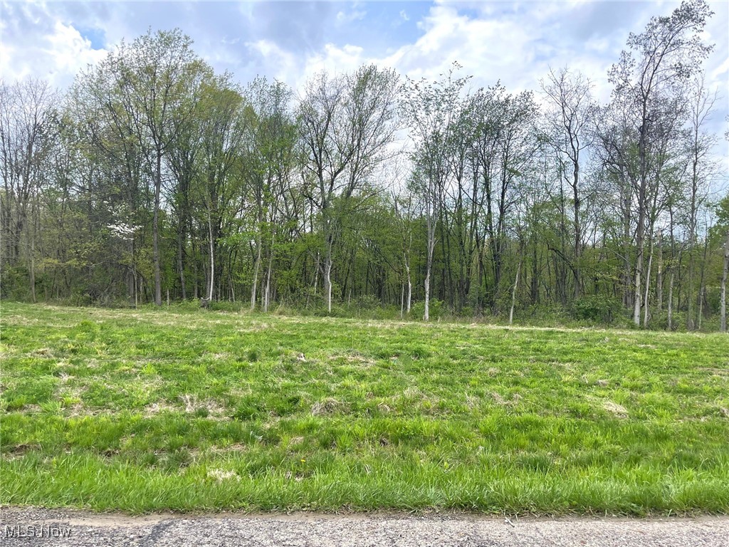 This buildable .53 acre partially wooded lot is on a dead end street and is located in the Perry Local School District. Lot is level and has 60' of frontage and is 383' deep. Public water and public sewer. Directions: Erie St. to east on Forest Ave. SE. to south on Candell St.