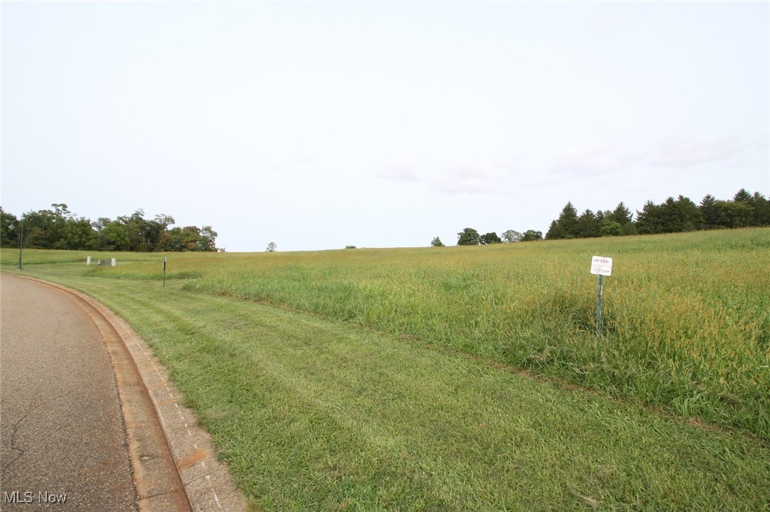 Are you looking for a great building lot in an architecturally controlled community? Stonehenge North is located just outside of Zanesville and 20 minutes from Newark. It is close to business, medical community, and recreational facilities, including Dillon State Park, Ohio University Zanesville, and Zane State College. Located among other fine homes in a well-maintained neighborhood with paved streets and public utilities. All lots in Stonehenge North must use Schlabach Builders (owner) as the designated builder.