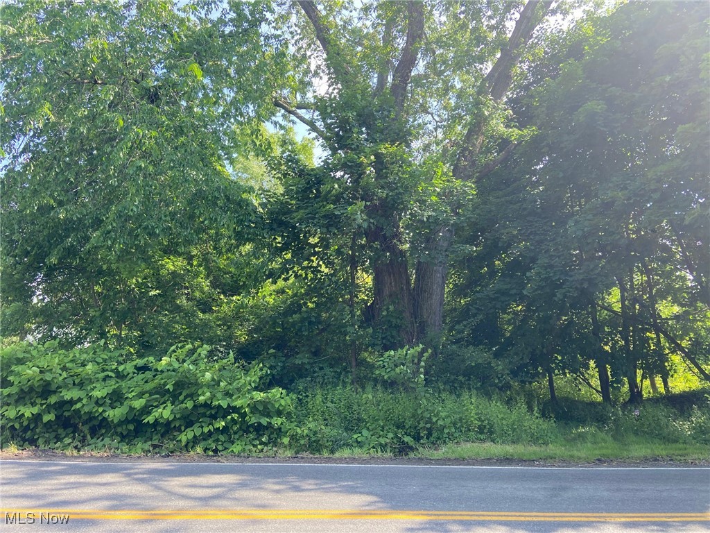 Location Location! Affordable building lot in the heart of Portage Lakes. This level lot is just a short walk to the Portage Lakes and the Portage Lakes restaurant district.  Also convenient highway access.  Utilities at the street include gas, electric, phone, cable, and sewer.  This lot does not have an HOA so bring your own builder and park your boat in your own driveway. There are 2 additional lots that are also available.  Buy all 3 lots and have .75 acre lot to build on. Build now or buy and hold and have a prime parking spot for your boat this summer.