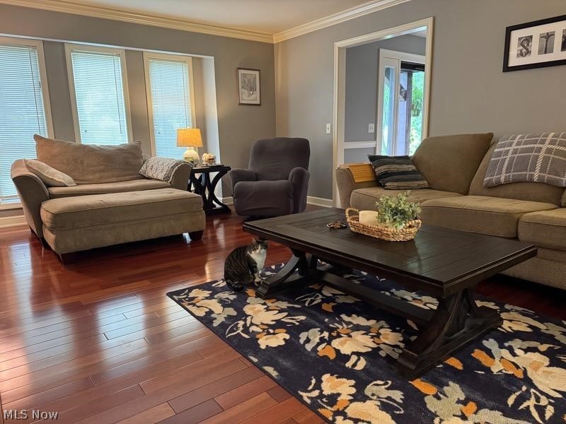 Treemont Estates - Residential