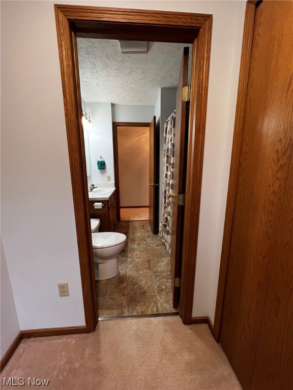 Chestnut Hill Cluster Homes - Residential