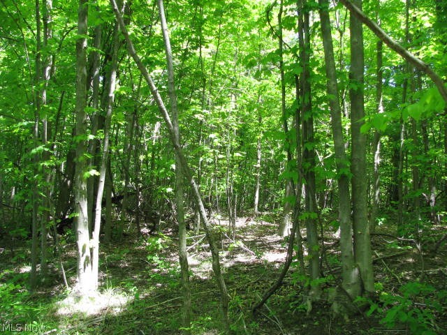 Coldwater Reserve - Land